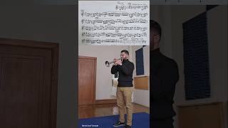 Petrushka  Trumpet excerpts Daniel Leal [upl. by Reffinnej624]