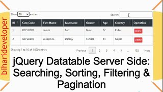 jQuery DataTable Server Side Searching Sorting Filtering and Pagination biharideveloper [upl. by Atterg362]