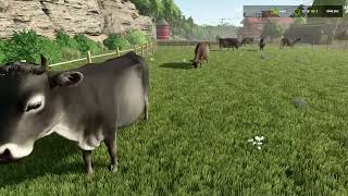 PRIMEIRAS IMPRESSOES NOVOS CURRAIS ALMENTAVEIS FARMING SIMULATOR 25 [upl. by Ejrog]