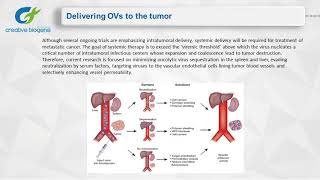 Oncolytic Virotherapy [upl. by Beal]