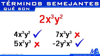 Términos semejantes [upl. by Sassan]