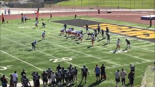 2014 Rattlers  Islanders Highlights [upl. by Yelkreb651]