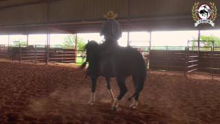 Reining Horse Training  Sliding Stop and Honest Run Downs with Scott McCutcheon [upl. by Yetty529]