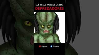 Los 13 rangos de la sociedad de los Depredadores – Jerarquía Yautja alien peliculas [upl. by Assillem]