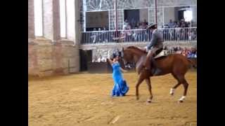 CÓRDOBASPAIN ECUESTRE DE CABALLOS y MUSICA FLAMENCO 20130526 [upl. by Cavallaro]