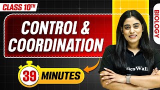 Control and Coordination in 39 Minutes  Mind Map Series for Class 10th [upl. by Maitland]