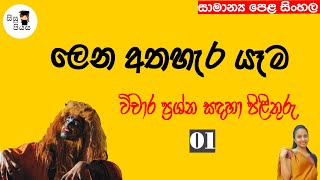 lena athahera yema vicharaya 01 ලෙන අතහැර යෑම විචාර පිළිතුර 01 OL Sinhala Sisupiyasa [upl. by Ynot]