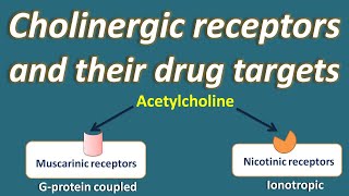 Cholinergic receptors and their drug targets [upl. by Ainslie788]