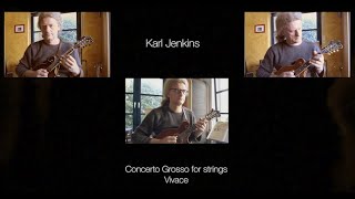 Karl Jenkins  Concerto Grosso for Mandolin Family and Stick [upl. by Novyar631]