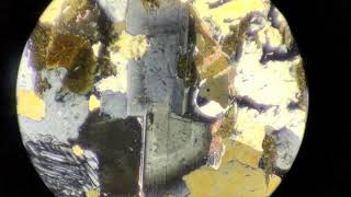 Petrology Thin Section Twinned Zoned Plagioclase in Granite [upl. by Giulia32]