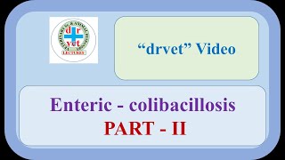 Enteric colibacillosis Part 2 [upl. by Savick]