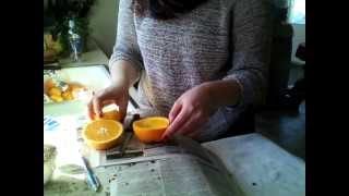 DIY Orange Bird Feeder [upl. by Mcgaw]