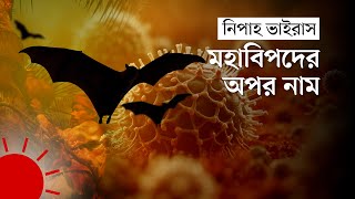 ‘নিপাহ ভাইরাস থেকে বেঁচে ফিরলেও নিস্তার নাই’  Nipah Virus [upl. by Limhaj816]