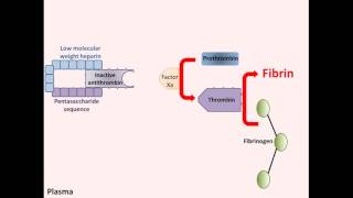 Heparin Anticoagulant Nursing NCLEX Review Pharmacology Intervention Patient Teaching [upl. by Relda]