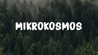 BTS  MIKROKOSMOS Lyrics [upl. by Ynnavoeg]