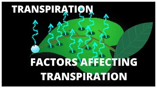 ICSE CBSE Class 10  Transpiration  L8 FACTORS AFFECTING THE RATE OF TRANSPIRATION [upl. by Rebmik]