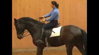 More indepth skeletal riding and obtaining flexion With Catherine Haddad [upl. by Airdnola600]