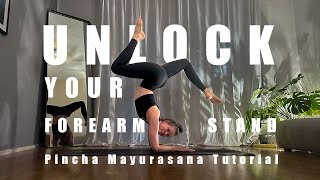 Finally unlock your Forearm Stand  Drills for Pincha Mayurasana Yoga Tutorial [upl. by Safko]