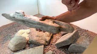 Setting Up the Enclosure for Uromastyx [upl. by Jamnes550]