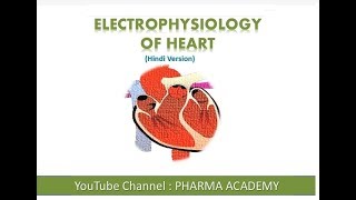 Electrophysiology of Heart [upl. by Sandon]