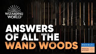 Answers of All Wand Woods Hogwarts Legacy  Wizarding World [upl. by Bussy]