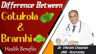 Difference Between Gotukola and Bramhi  Health Benefits [upl. by Ylrbmik]