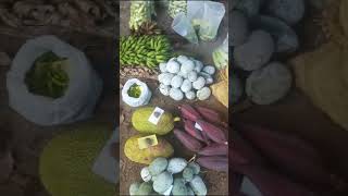 Vipani vegetables pathanamthittadistrict [upl. by Widera]