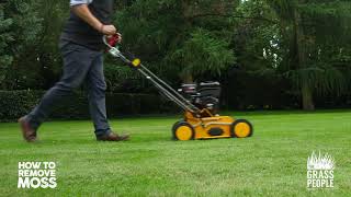 How to Remove Moss from your Lawn  Great Lawns Made Simple [upl. by Ardnassak]