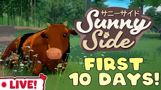 First 10 Days of SunnySide Is it Good [upl. by Oirrad611]