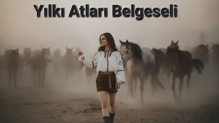 Yılkı Atları Belgeseli [upl. by Nylrehc]