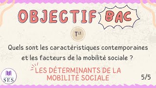 BAC Cours Mobilité Sociale  Les déterminants de la MS [upl. by Eus957]