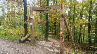 DOWNHILL quotFlowtrail Mosbach  Uffbasse RED LINE [upl. by Yelsel]