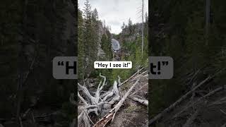 Take a hike with me shorts yellowstone [upl. by Ailyt]