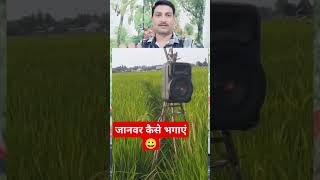 खेत से जानवर भगाने का देसी जुगाड़ 😀😀😀 funny shortvideos comedyvideos [upl. by Nerraj]