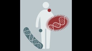 Microbiome Analysis 2023  04 Intro to Metagenomic Sequencing [upl. by Oicelem]