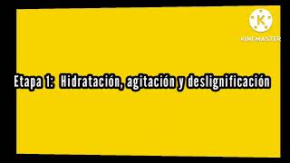 Revalorización de lignina funcionalizada con potencial aplicación en tratamiento de aguas [upl. by Fujio]