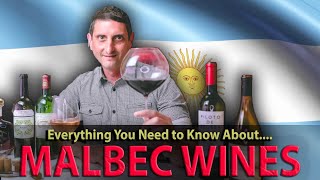 What is MALBEC What You NEED TO KNOW about this Wine [upl. by Latimore209]