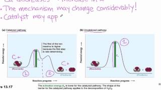 135 Catalysis [upl. by Arri]