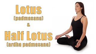 Hatha Yoga Lotus Padmasana and Half Lotus Ardha Padmasana Poses [upl. by Anilag]