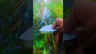 Mobile photography  Underwater camera photo  iphone apple camera  photography iphonecameratest [upl. by Rahs]