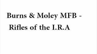 Burns amp Moley MFB  The rifles of the IRA [upl. by Aneema]