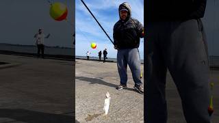 Pescando en chascomus shots chascomus pescadeportiva muelles youtubeshorts [upl. by Jasik772]