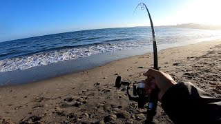 Non Stop Mud Marlin Action from Shore Bat Rays [upl. by Attalanta37]