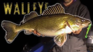 GIANT Walleye  Winter Walleye Fishing Tips and Techniques [upl. by Idarb]