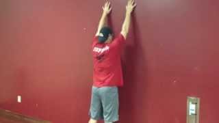 Corrective Exercise for the Trapezius Serratus Anterior Upward Rotation of the Scapulae [upl. by Simmonds781]