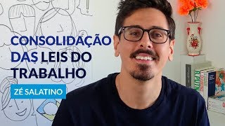 O que é CLT  com Zé Salatino [upl. by Mori]