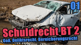 Schuldrecht BT 2 Deliktsrecht Bereicherungsrecht GoA  Einführung [upl. by Ebberta476]