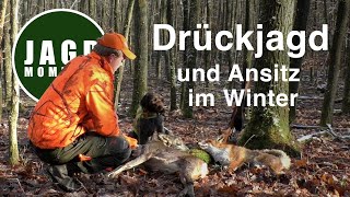 JagdMomente  Folge 6  Drückjagd amp Ansitz im Winter [upl. by Sol]