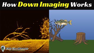 The LAST Down Imaging Explanation You Will Ever Need  Fish Finder Sonar Instruction [upl. by Htebzil354]