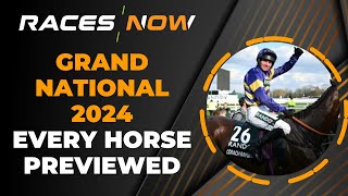 Grand National Preview  All Horses Previewed  Aintree [upl. by Eenel]